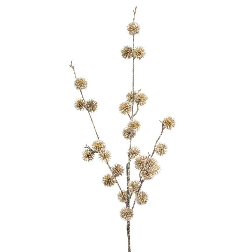 Chestnut spray cream whitewash 85cm