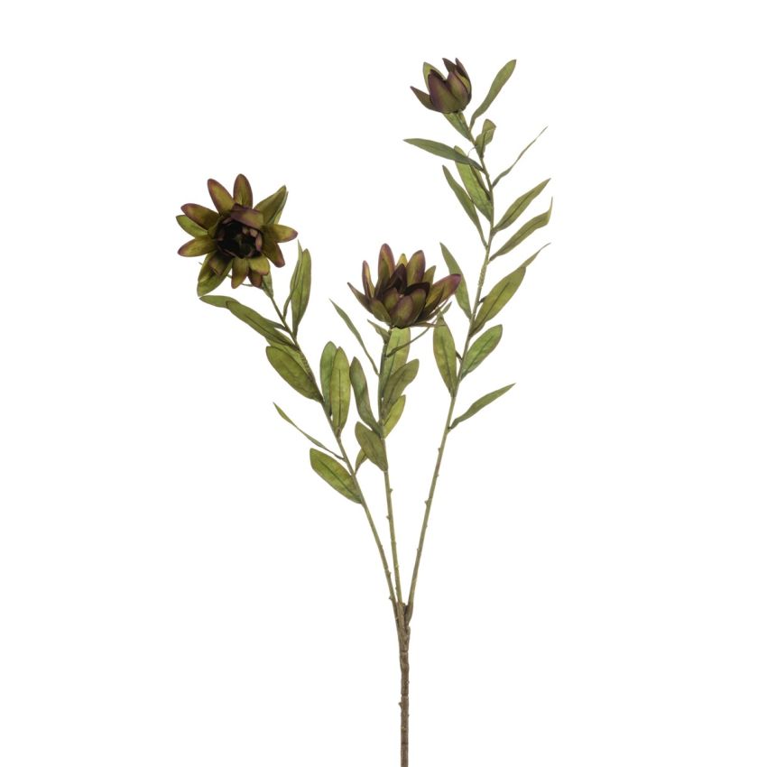 Protea spray green 100cm