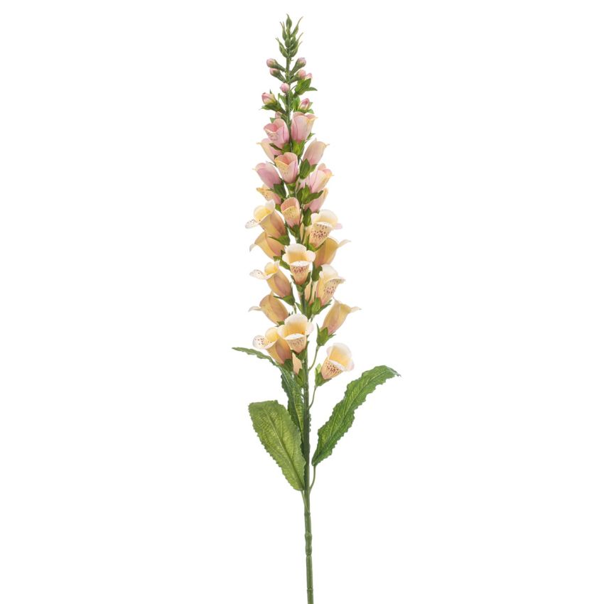 Digitalis spray lt yellow 97cm