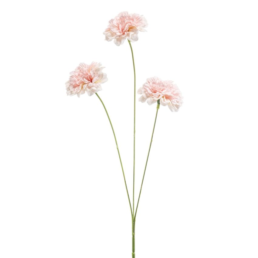 Dianthus spray peach 50cm
