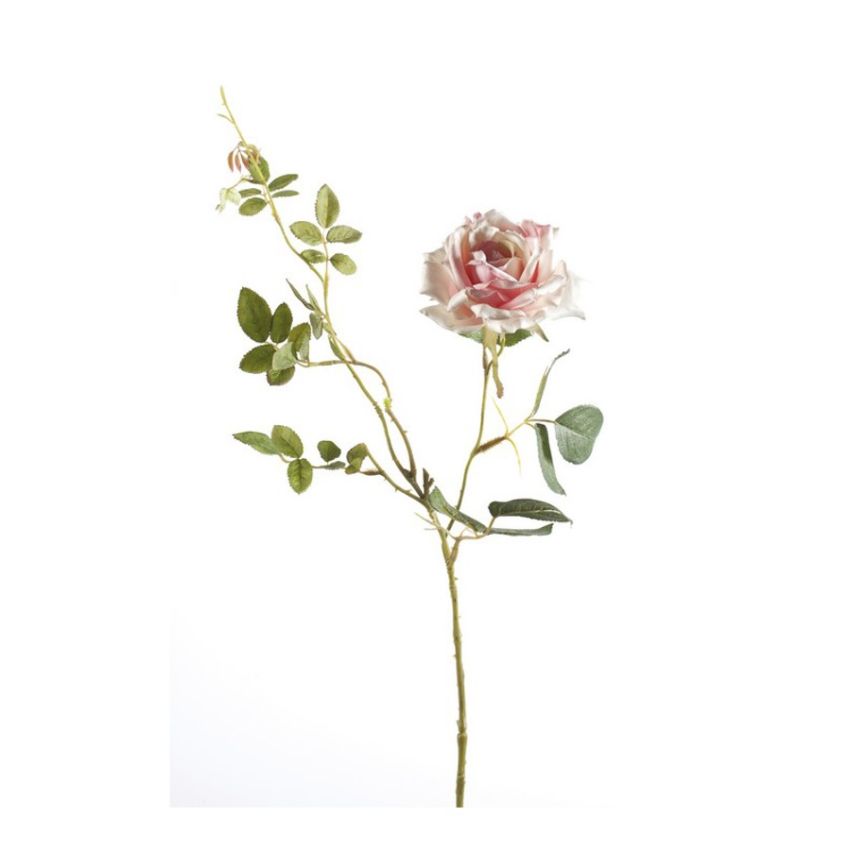 Rose dianna spray pink/cream 75cm