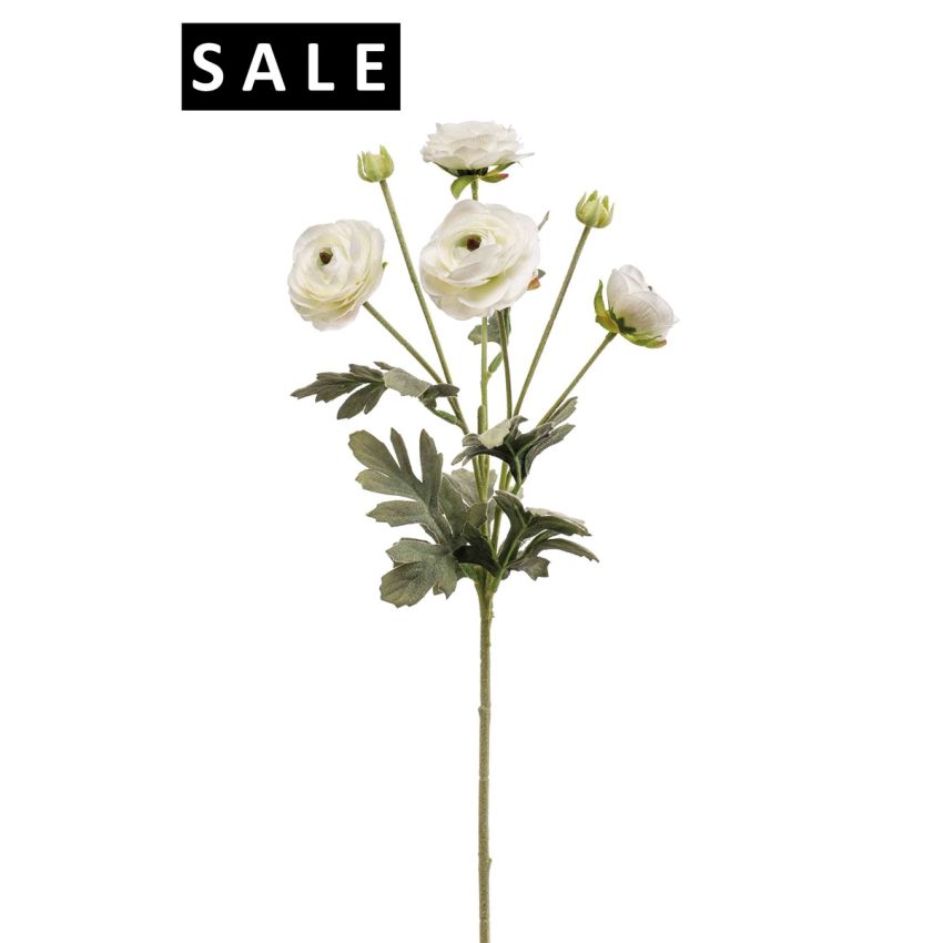 Ranunculus spray cream 65cm