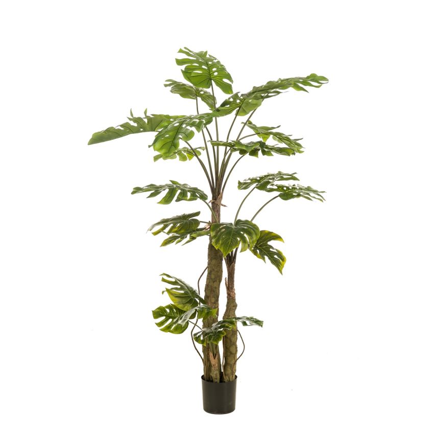Monstera on trunk x3 180cm (knock down packing)