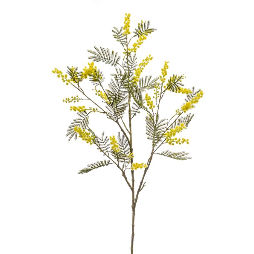 Mimosa spray yellow 110 cm