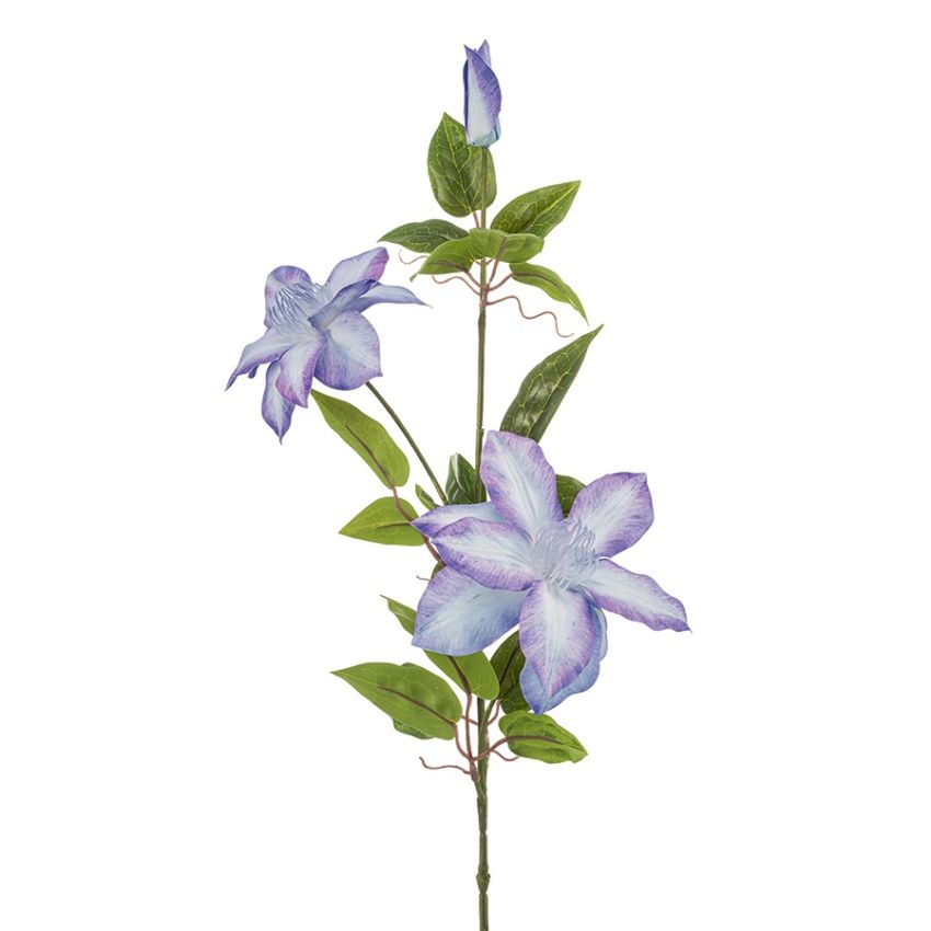 Clematis spray blue/purple 82cm