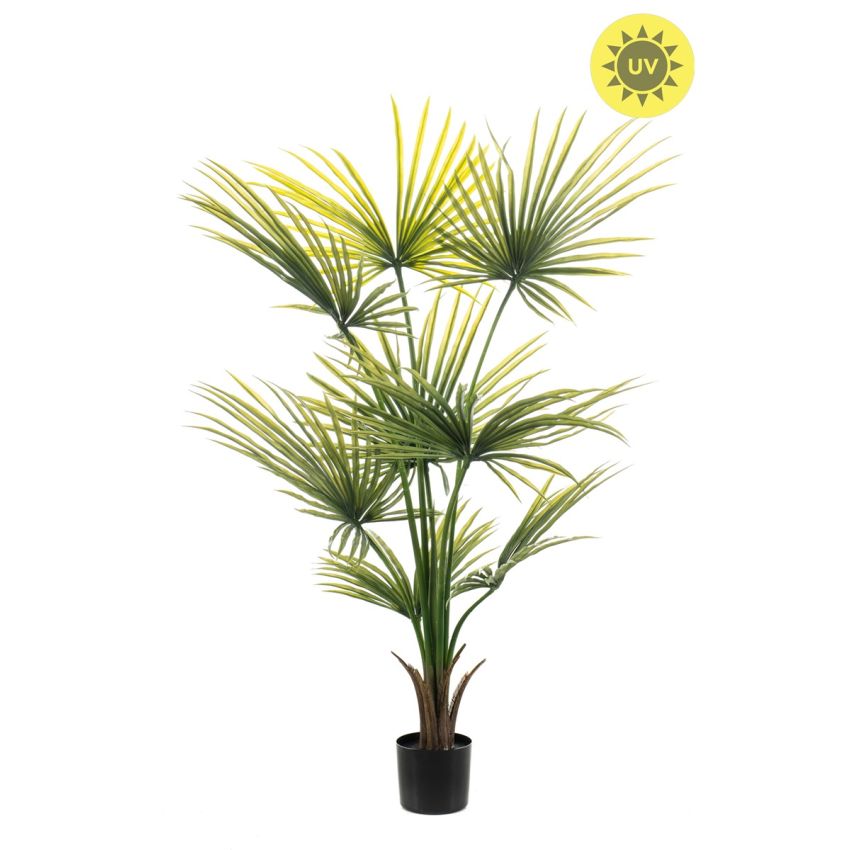 Palm washingtonia UV 120cm