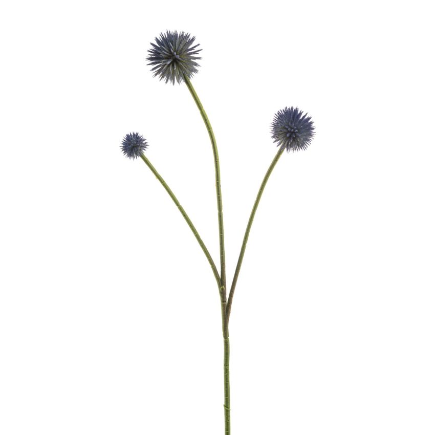 Echinops spray blue 70cm