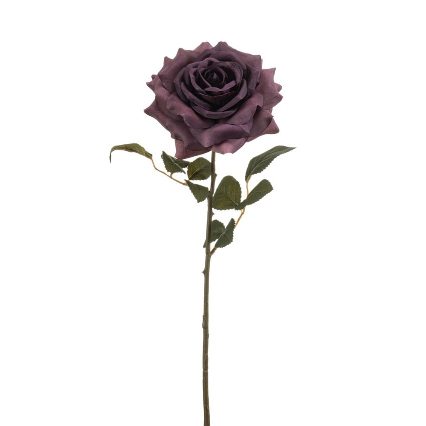 Rose sofie spray purple 55cm