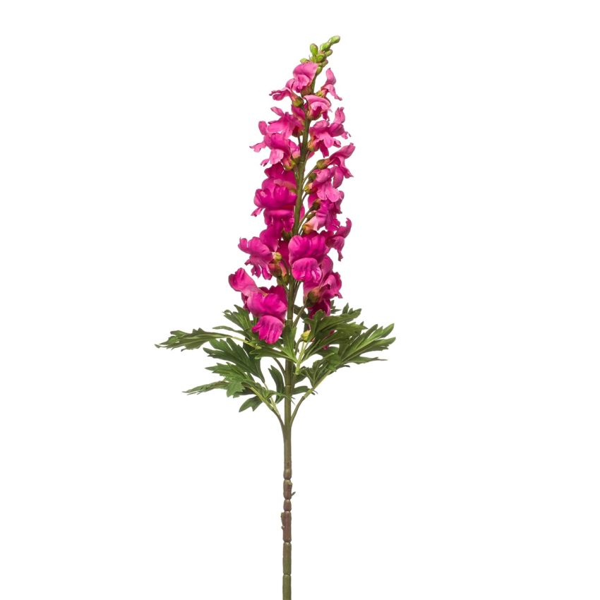 Antirrhinum spray beauty 92cm