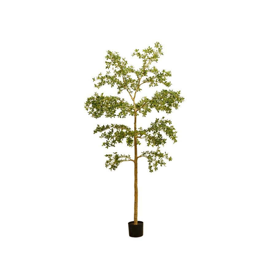 Bucida tree deluxe 290cm (knock down packing)