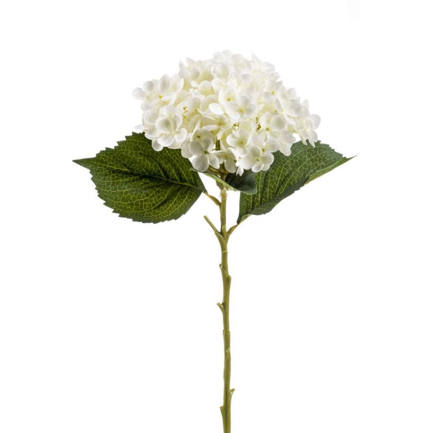 Hydrangea annabelle stem cream 52cm