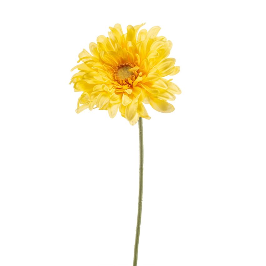 Gerbera spray yellow 80cm