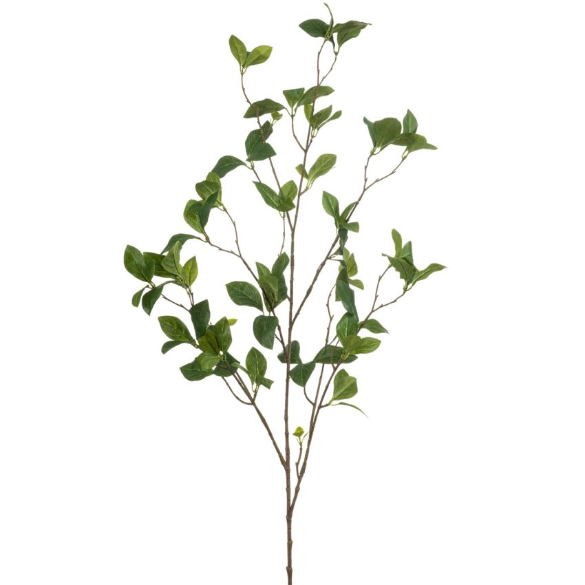 Enkianthus spray green 115cm