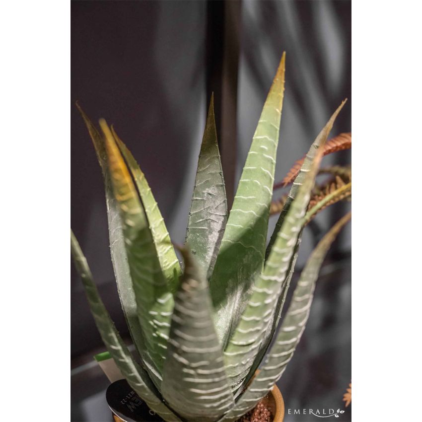 Aloe vera green 30cm in pearlgold pot