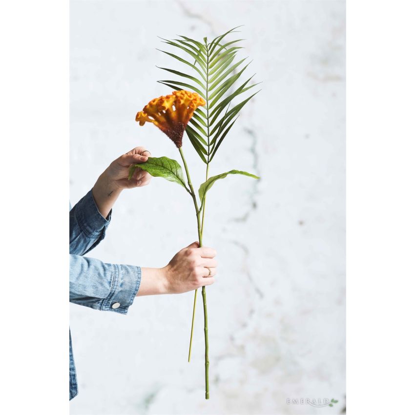 Chamaedorea spray green 75cm