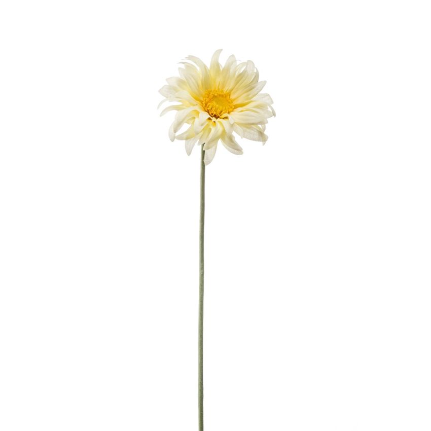 Gerbera mini spray lt yellow 50cm