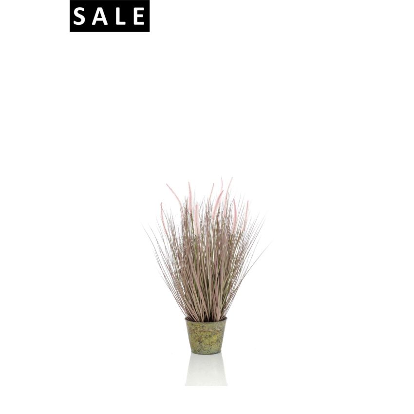 Pennisetum grass 58cm