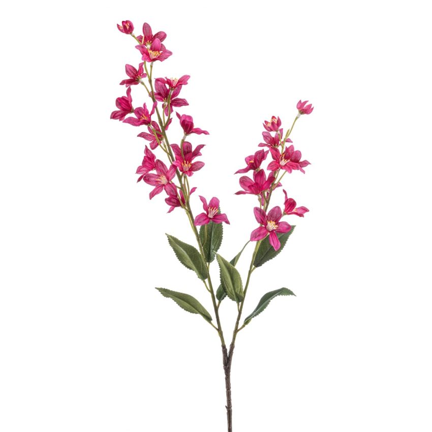 Deutiza spray beauty 88cm