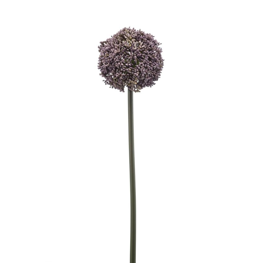 Allium spray lt purple 74cm