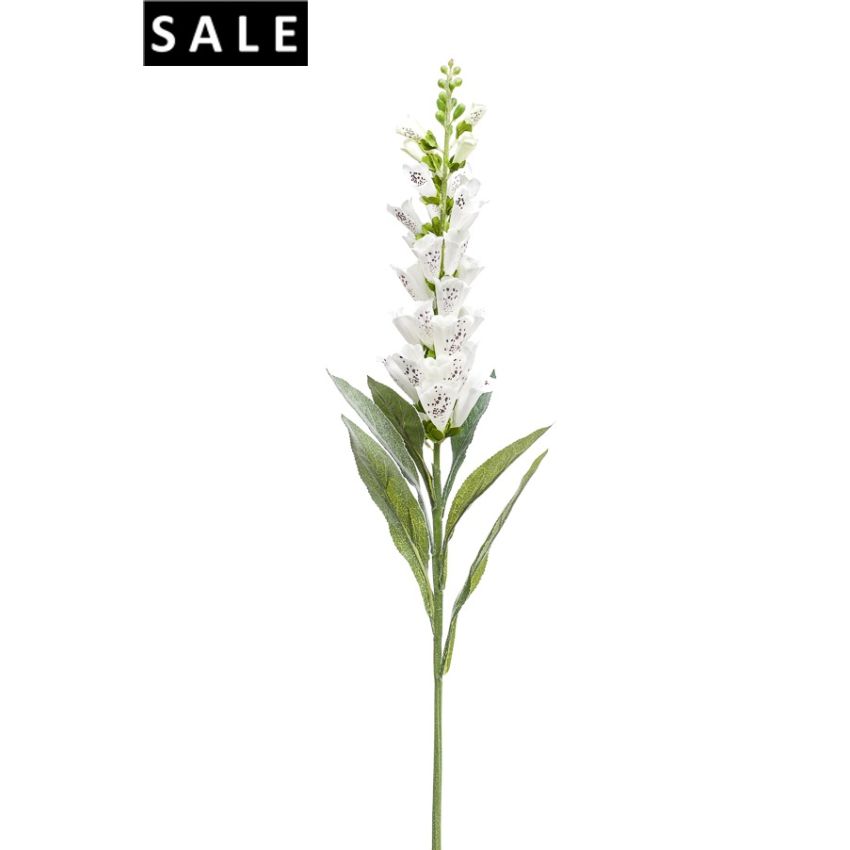 Digitalis spray cream 92cm
