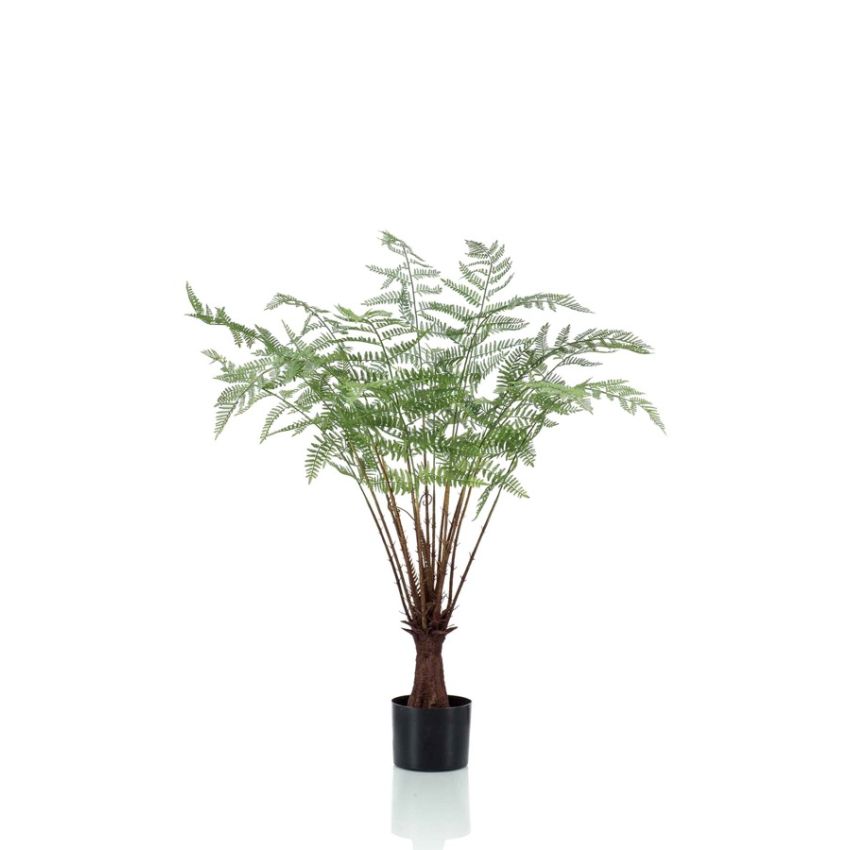 Fern plant 100cm
