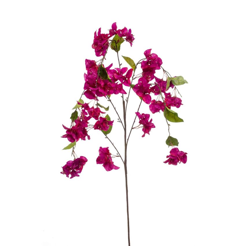 Bougainvillea hanging spray fuchsia 120cm