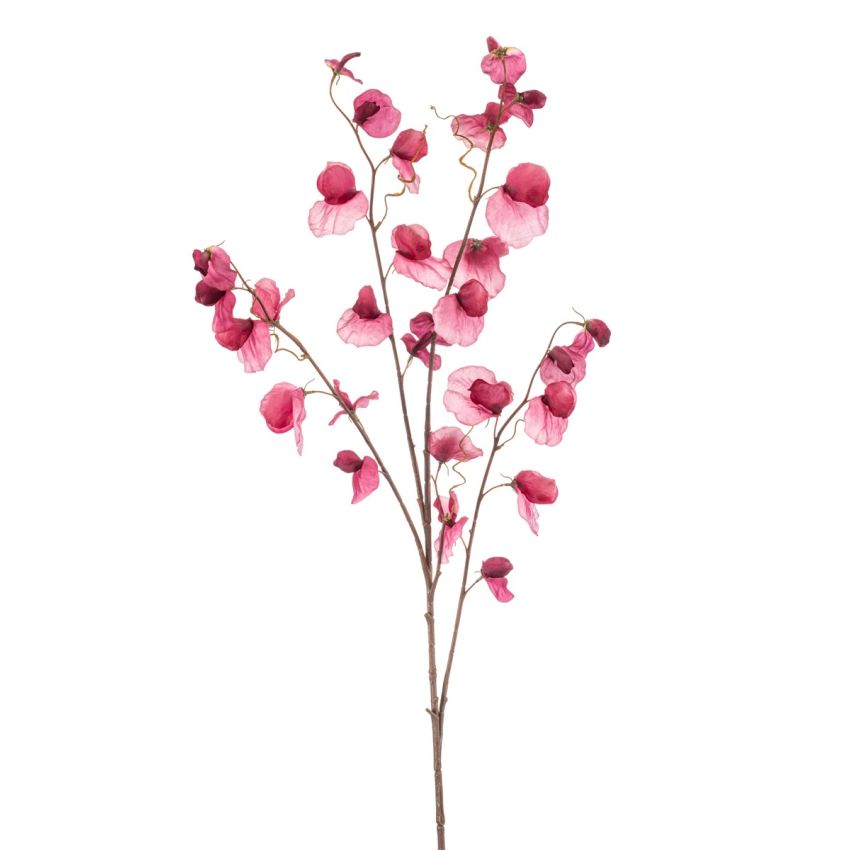 Lathyrus spray x4 fuchsia 110cm