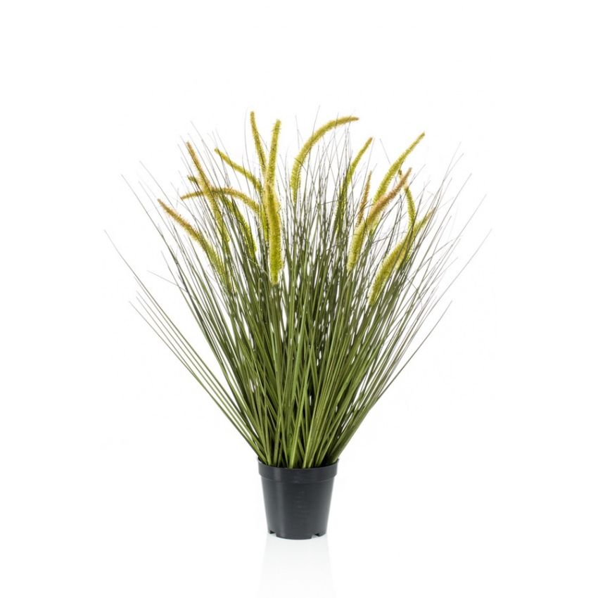 Grass cattail 70cm