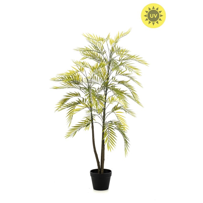 Palm x3 UV 130cm