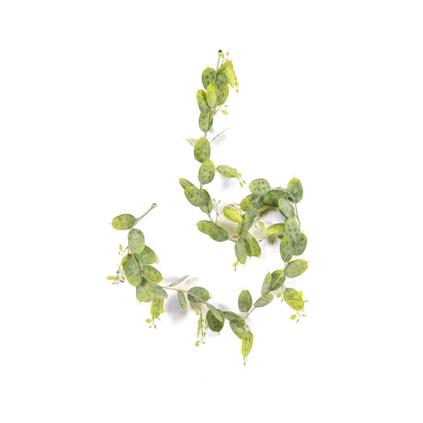 Lunaria garland green 180cm