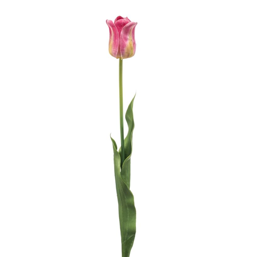 Tulip france spray pink 66cm