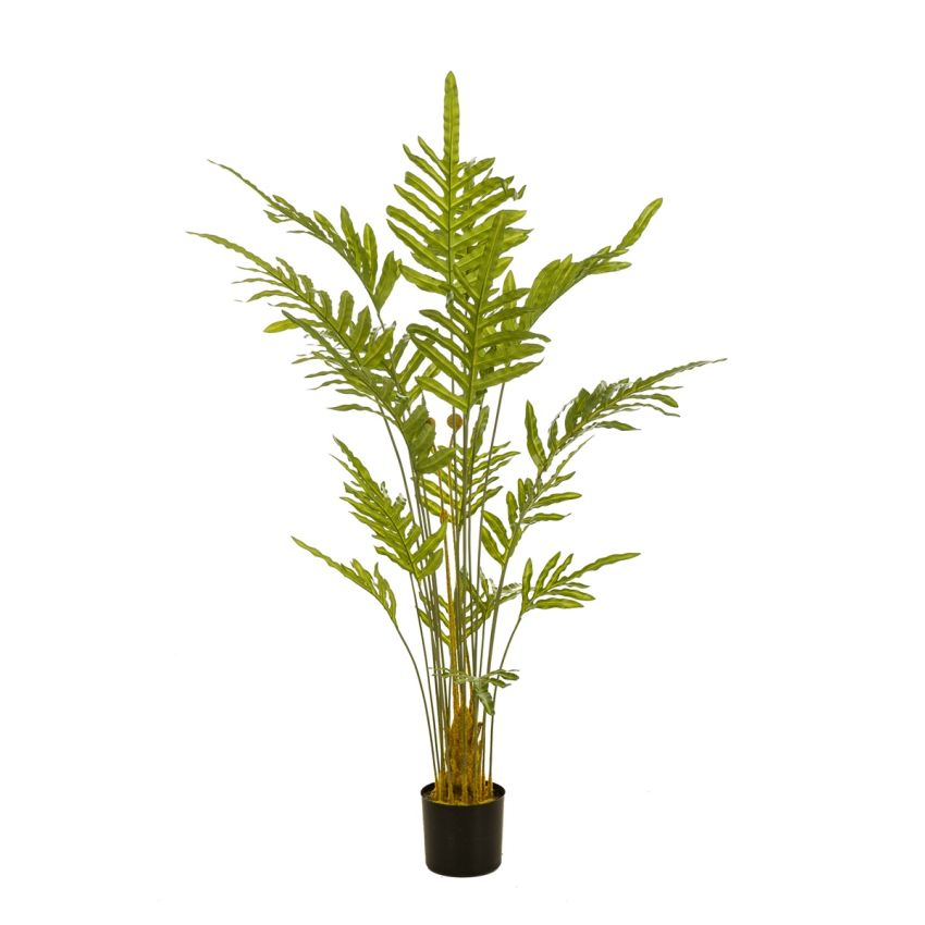 Fern plant 150cm