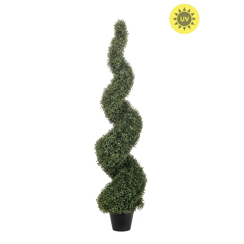 Boxwood spiral UV 150cm