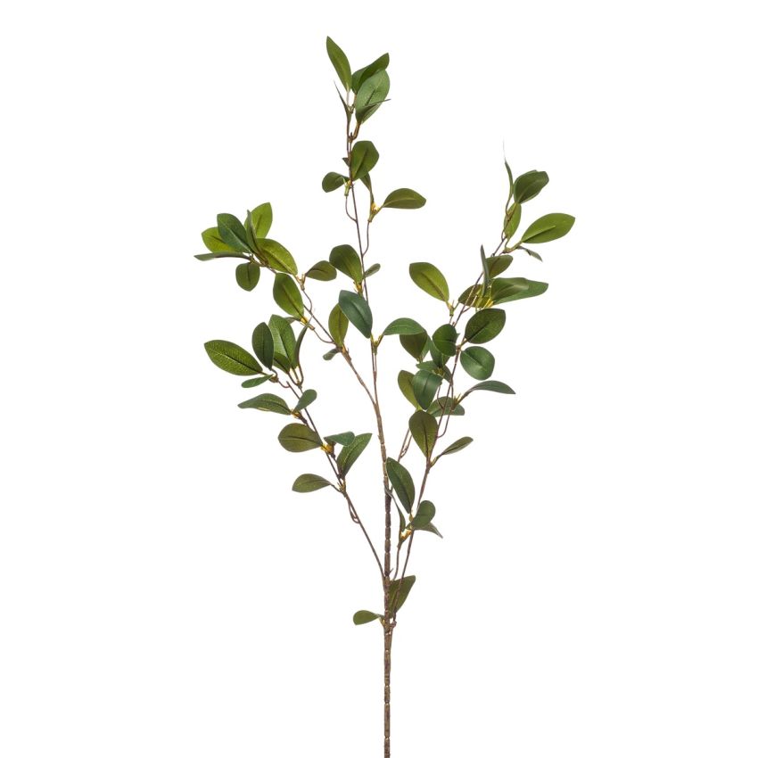 Ruscus spray green 90cm