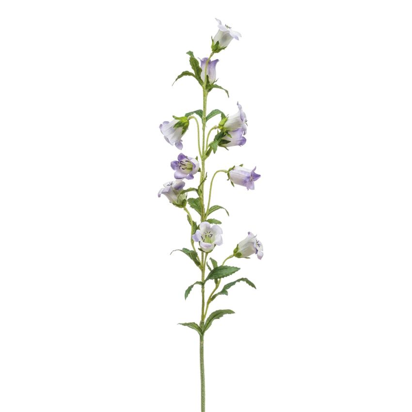 Campanula spray lt purple 88cm