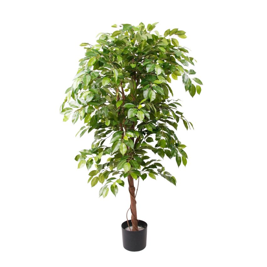 Ficus deluxe vine tree 140cm