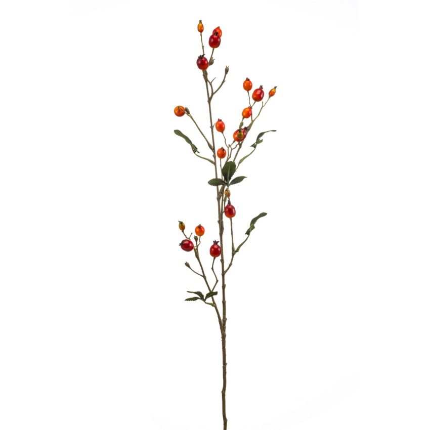 Rosehip spray orange 80cm