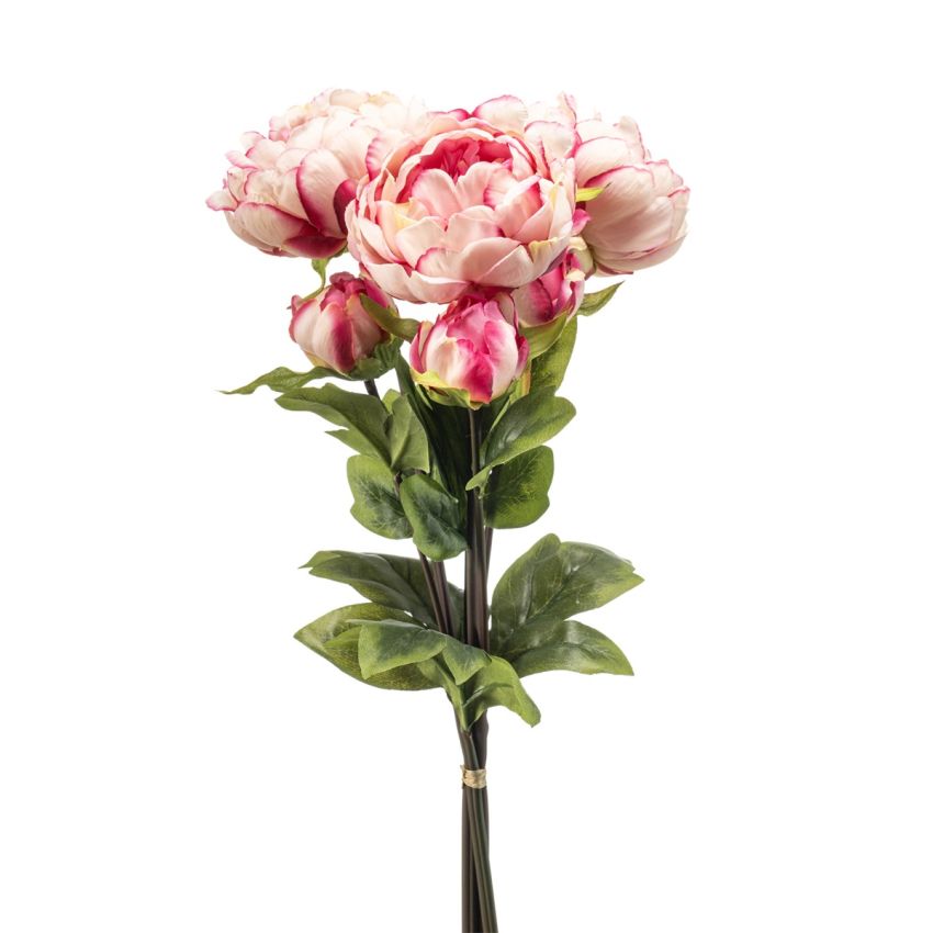 Peony bundle x3 beauty 50cm