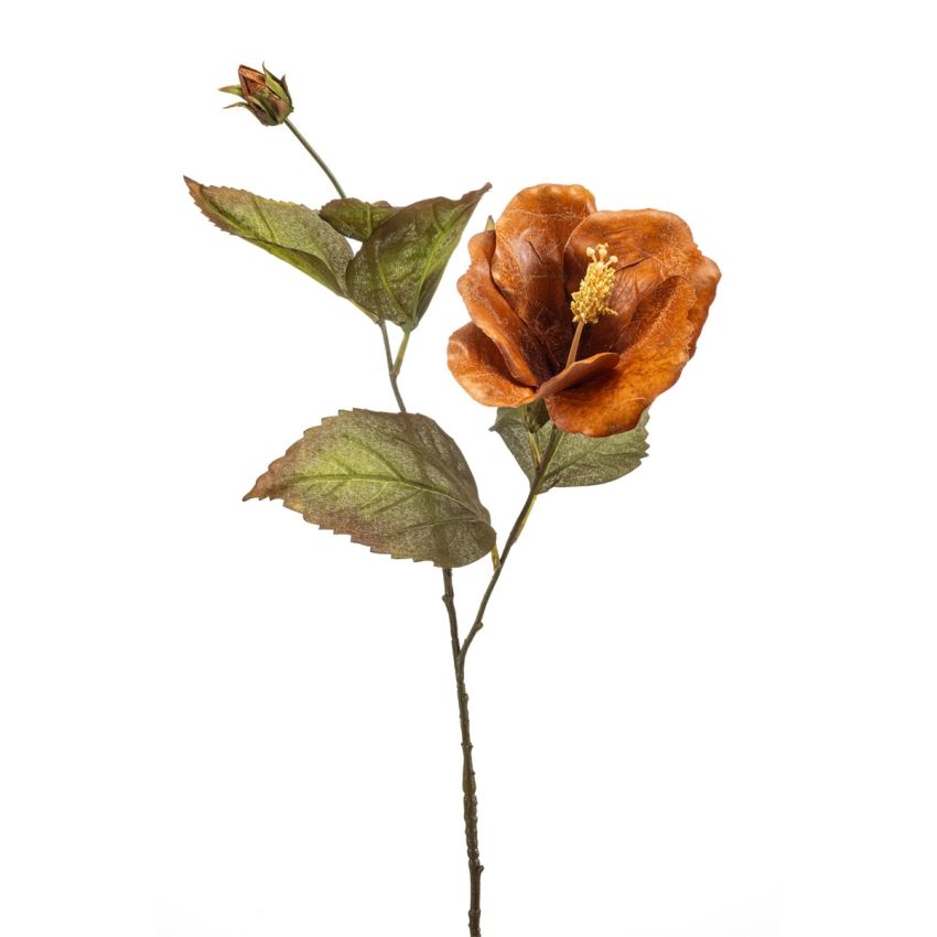 Hibiscus spray brown 70cm