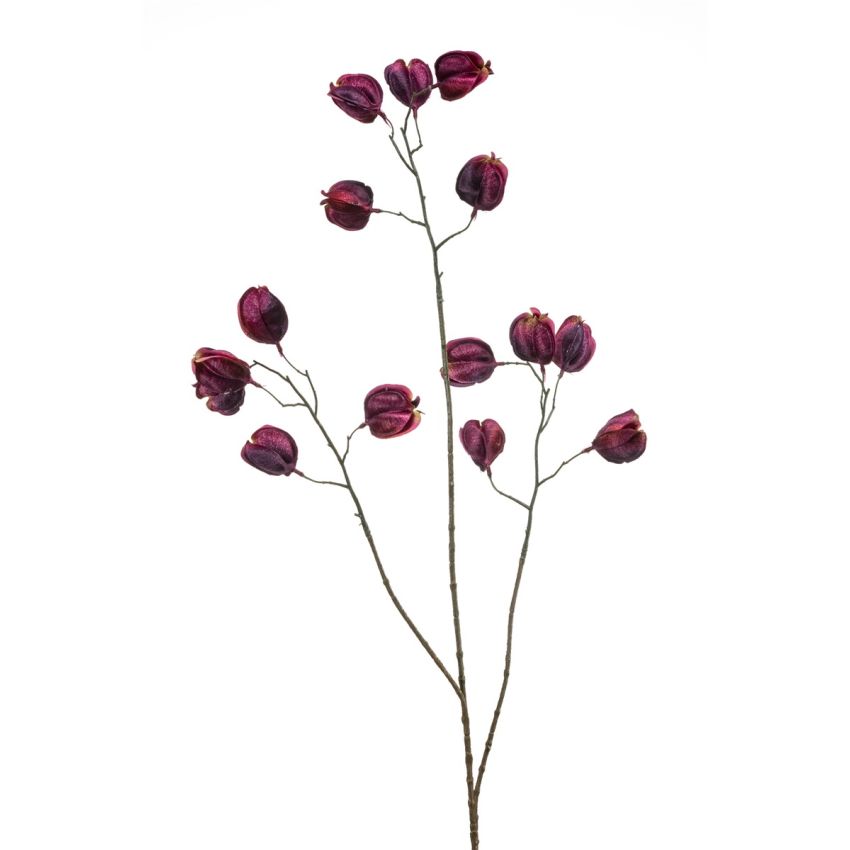 Physalis spray purple 80cm