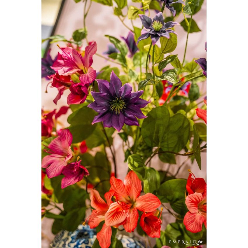 Clematis spray fuchsia 110cm