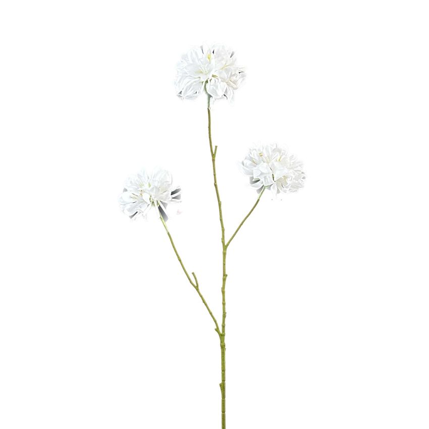Scabiosa spray x3 white 80cm
