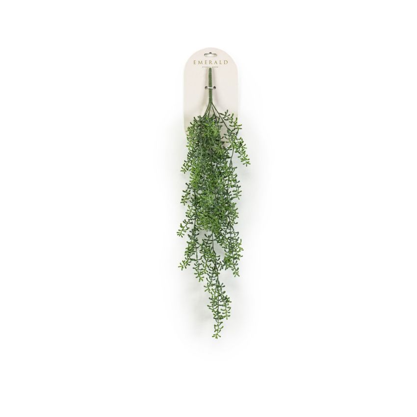 Rhipsalis hanging bush 72cm