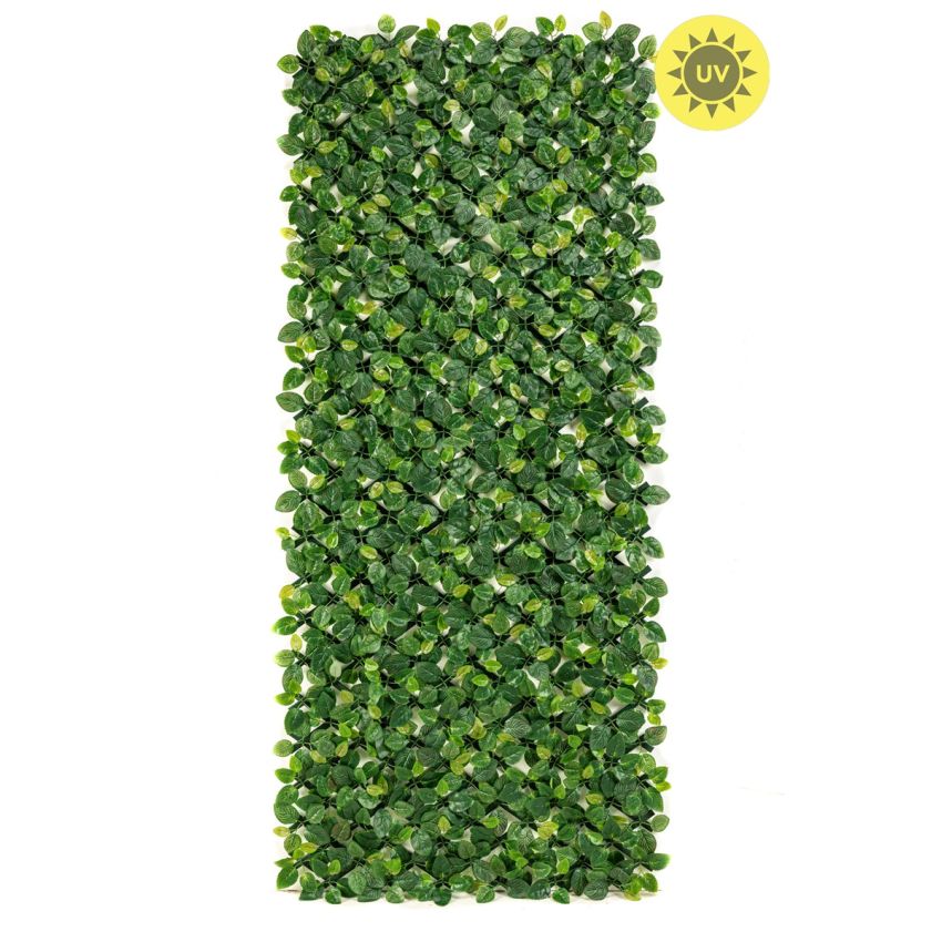 Beech lvs hedge weather resistant/UV 100x200cm