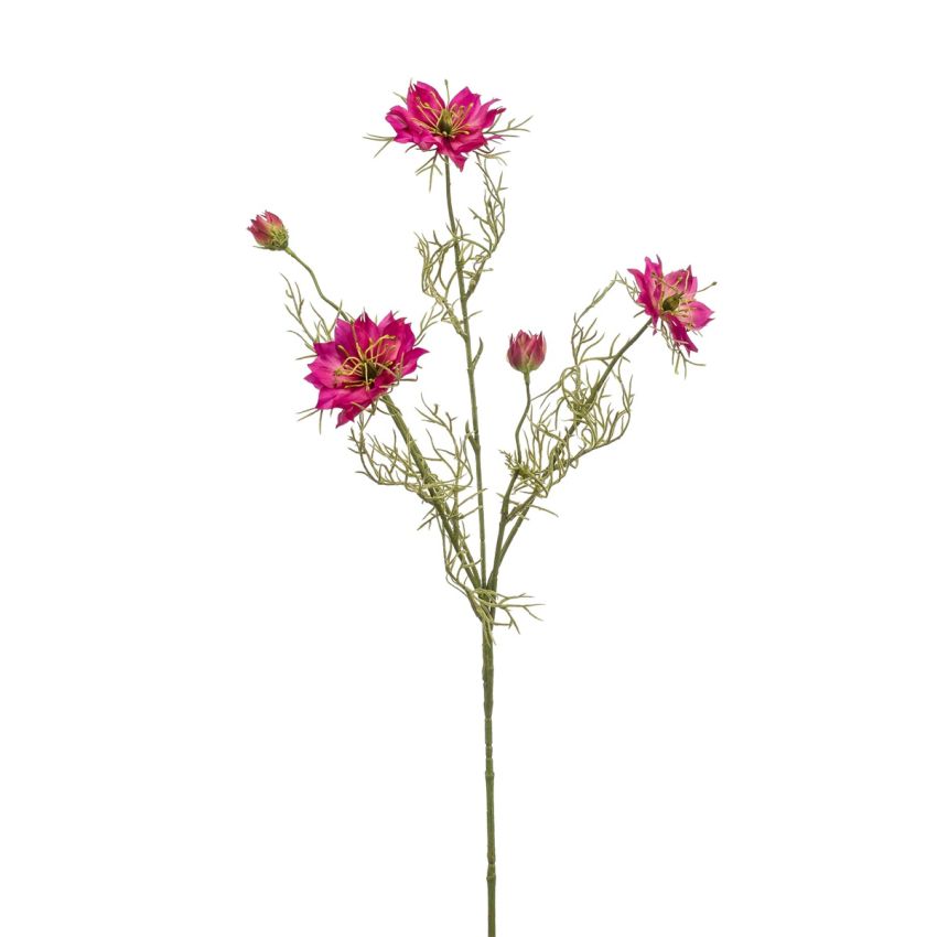 Nigella spray fuchsia 73 cm