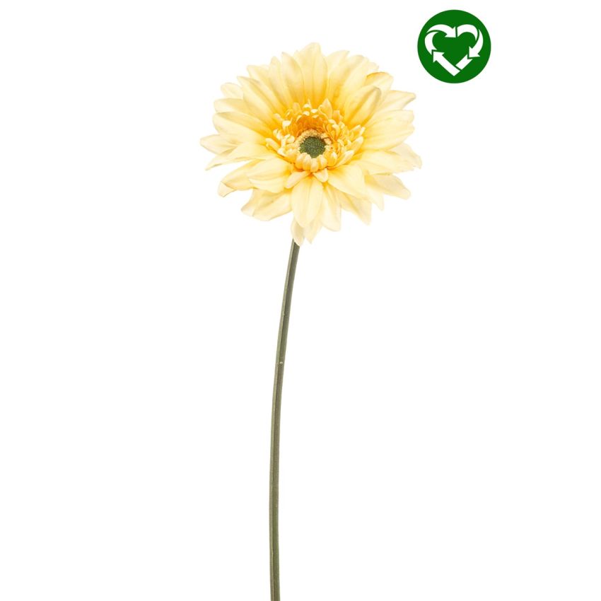 Gerbera spray REC lt yellow 63cm