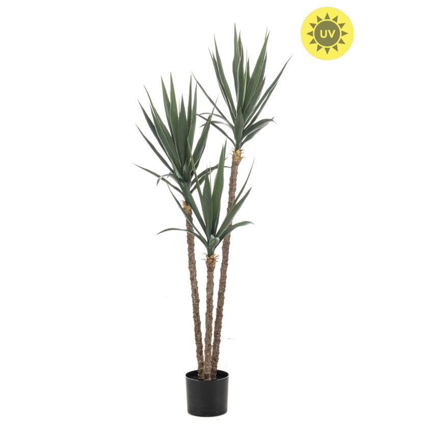 Yucca plant UV 150cm