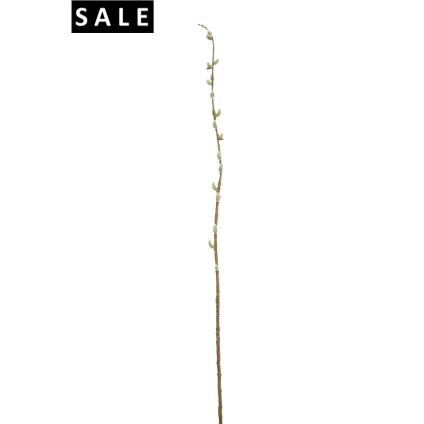 Pussy willow stem green 105cm