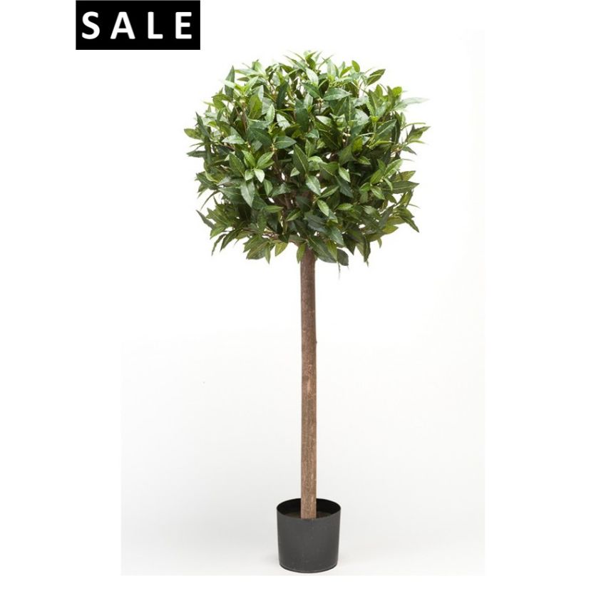 Laurel ball 120cm/1147lvs