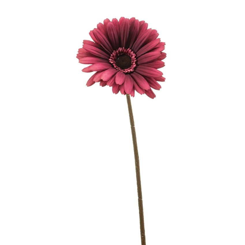 Gerbera spray purple 58cm